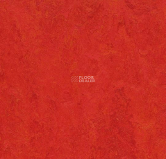 Forbo Marmoleum Decibel on Order 313135 scarlet фото 1 | FLOORDEALER